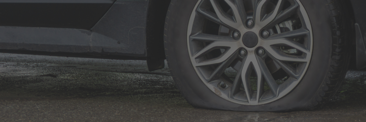 129 Point Inspection Header