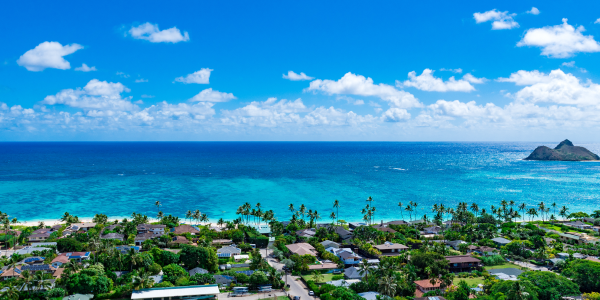 Hawaii Coast from above