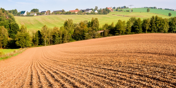 Pep Boys technician replacing a car battery